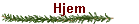 Hjem