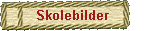 Skolebilder